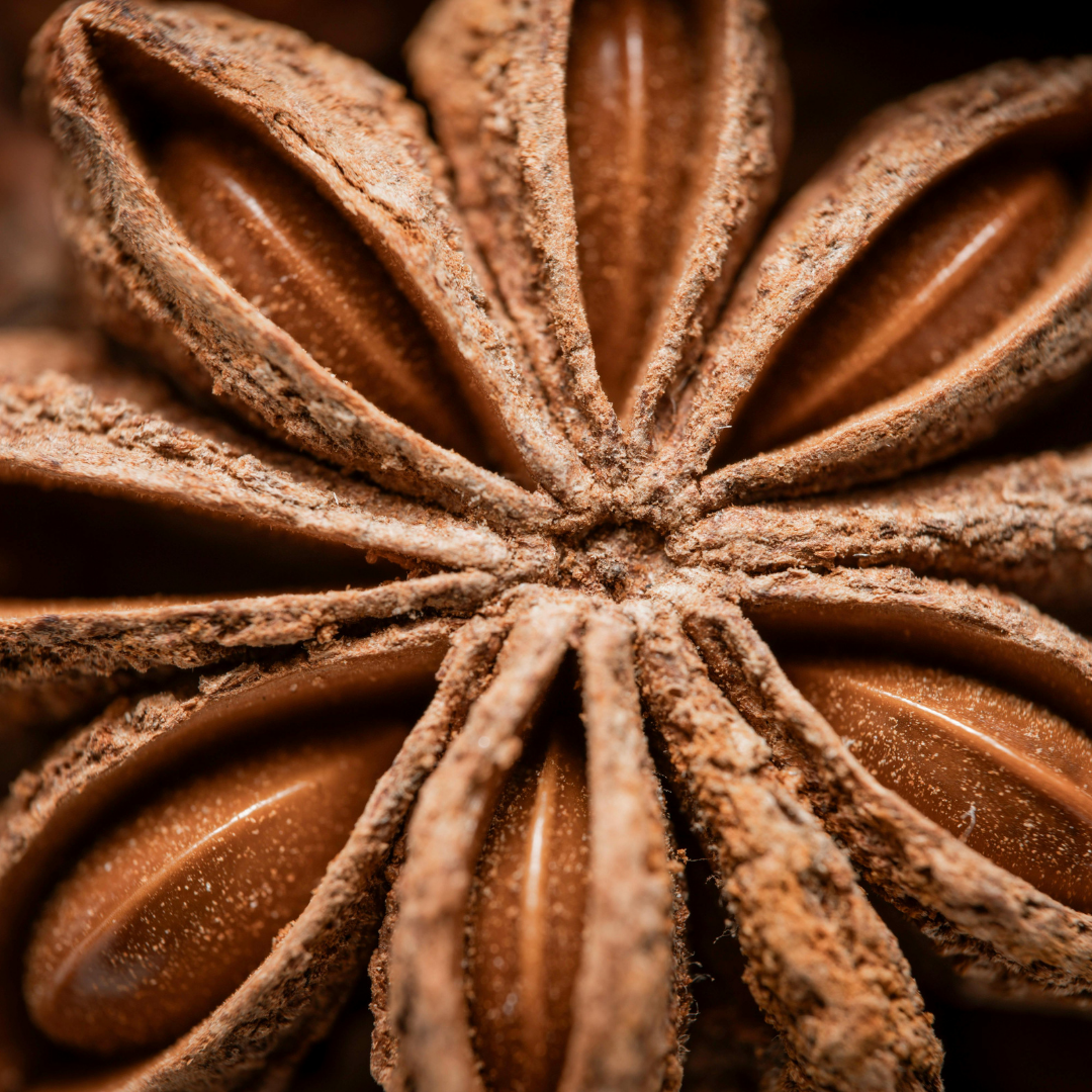 Anise