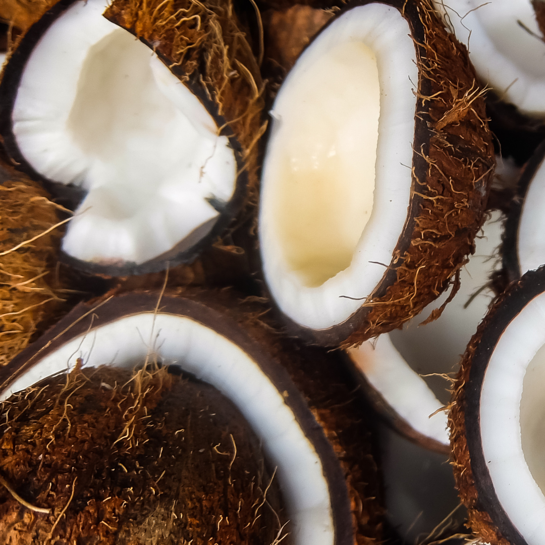 Coconut