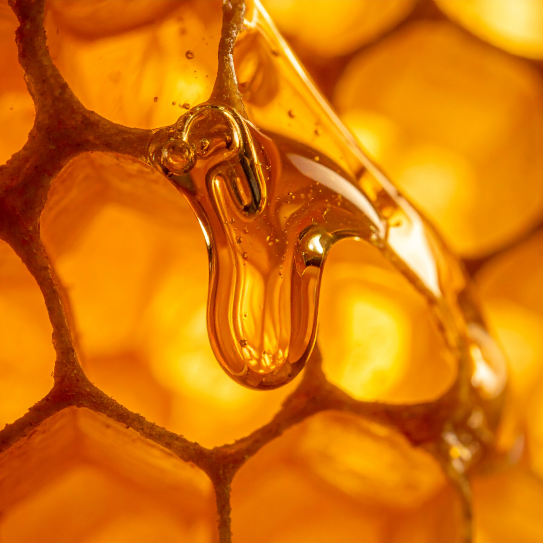 Honey