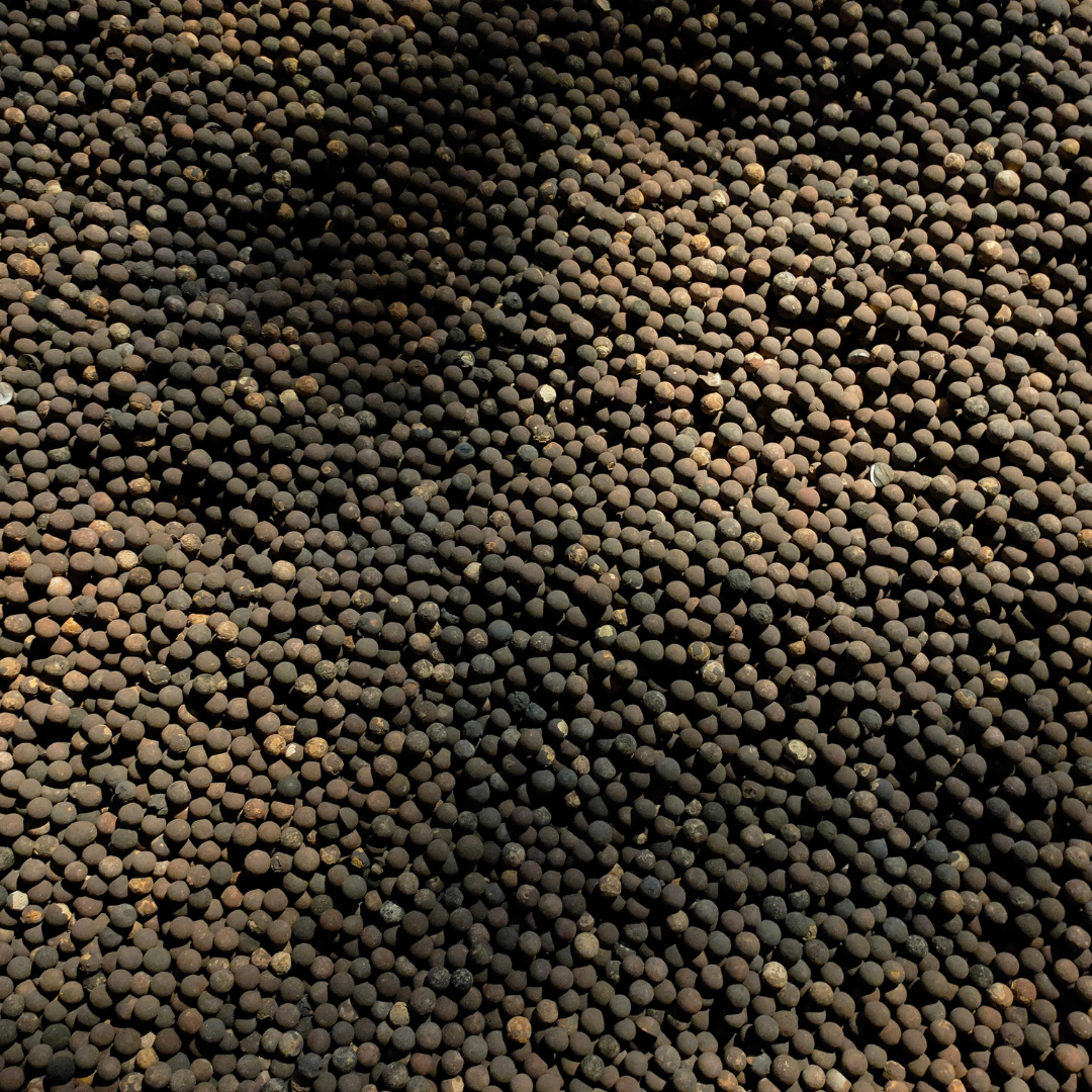 Pepper