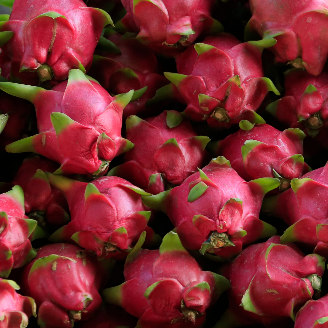 Pitahaya