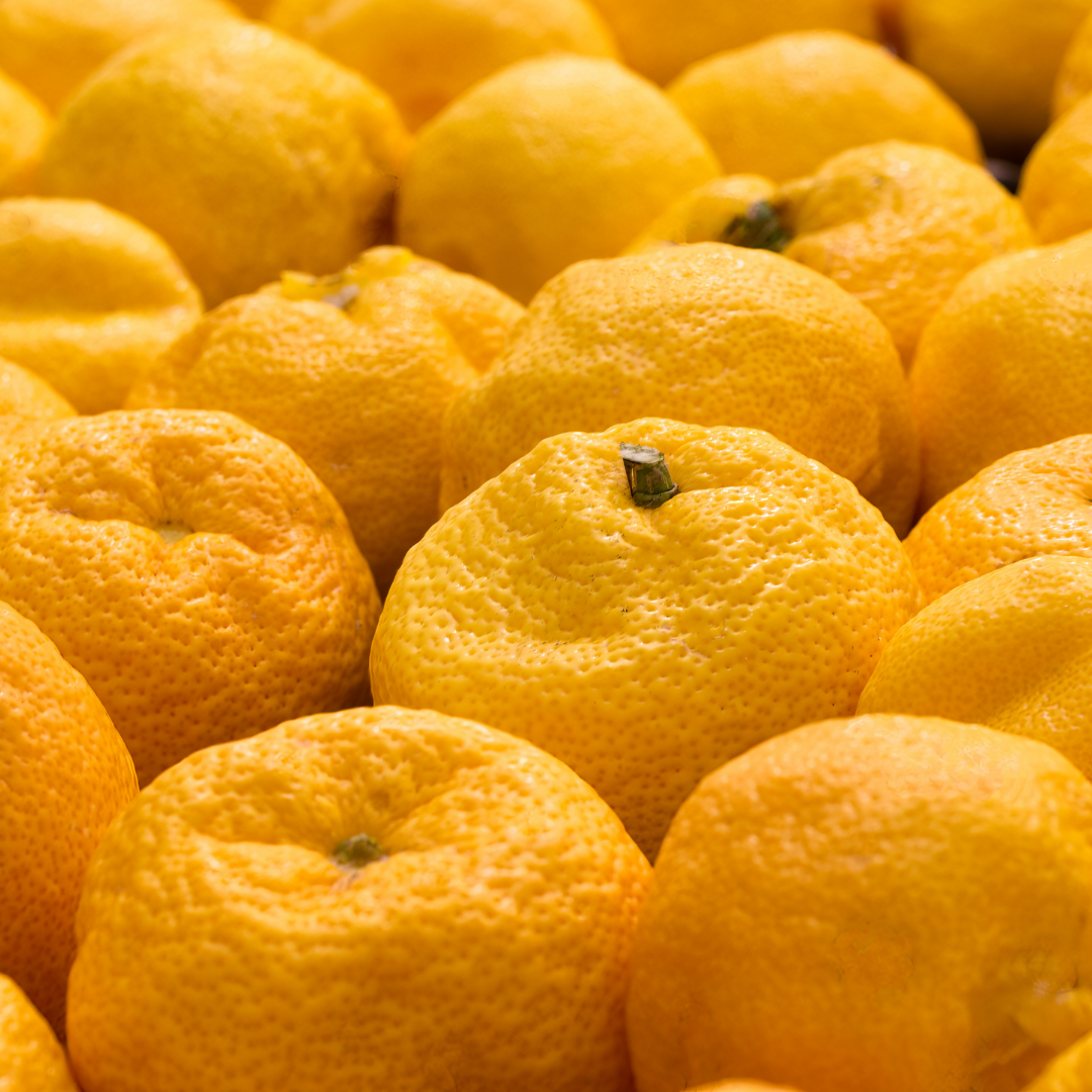 Yuzu