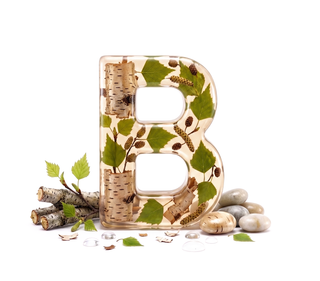 birch — dip nota