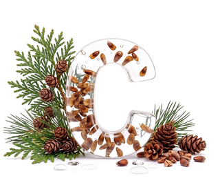 cedarwood — dip nota