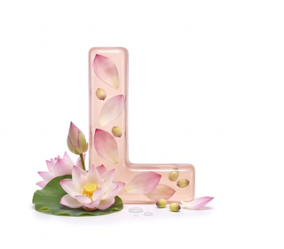 lotus — kalp nota
