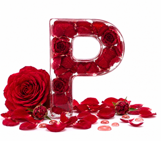 red peony — kalp nota