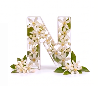 tunisian neroli — kalp nota