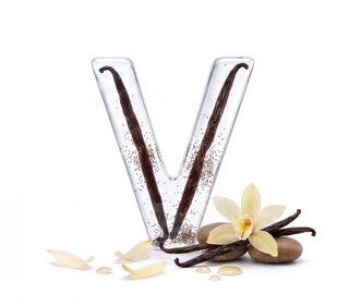 vanilla — dip nota