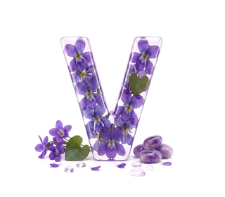 violet — kalp nota