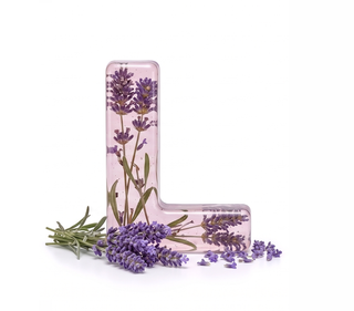 wild lavender — kalp nota