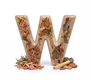 woody notes — dip nota