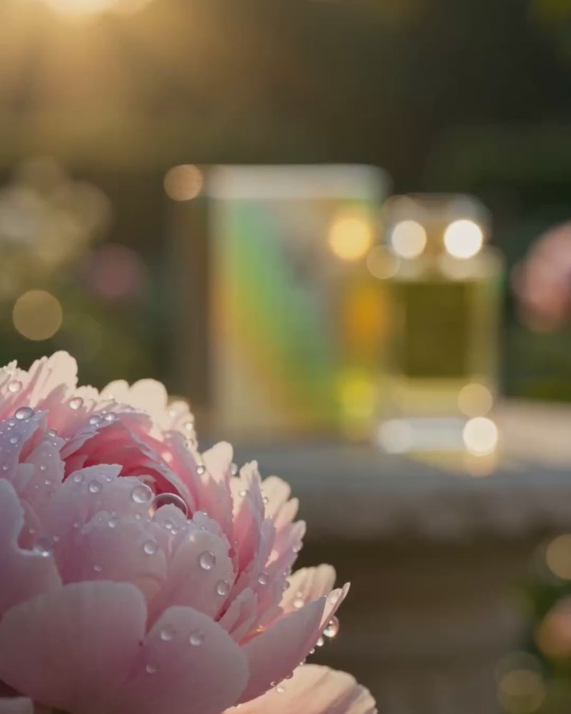 Fleur Vibe — tanıtım videosu