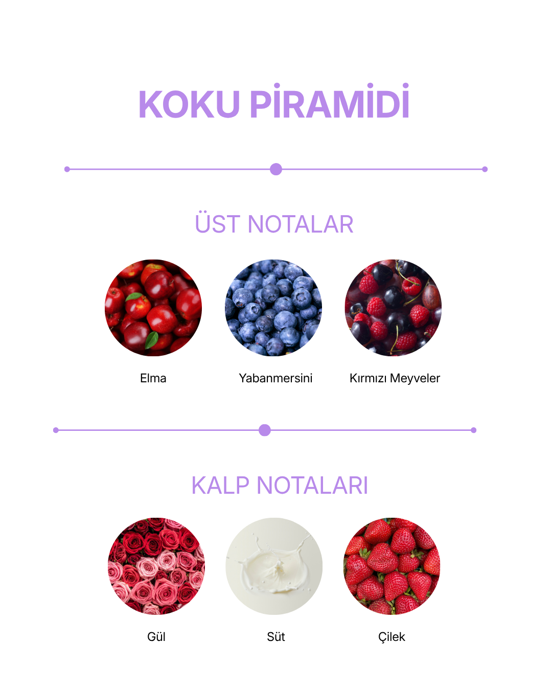 Bubble Soap Antioxidant Shield — görsel 6