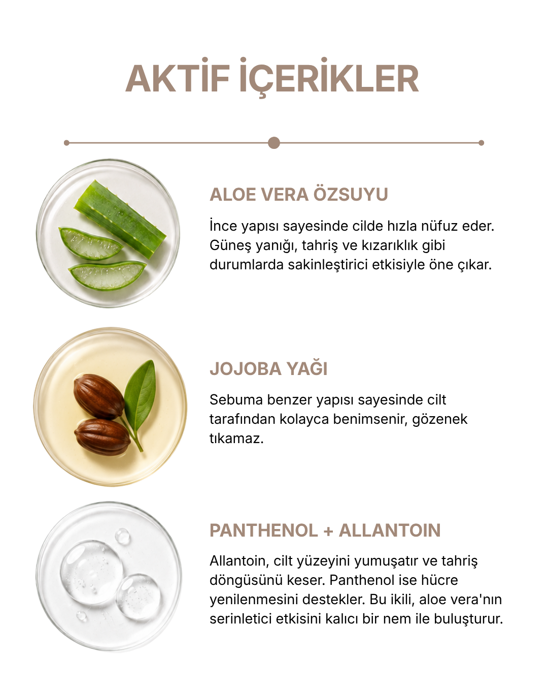 Cilt Bakım Kremi 250 ml Aloe Vera — görsel 4