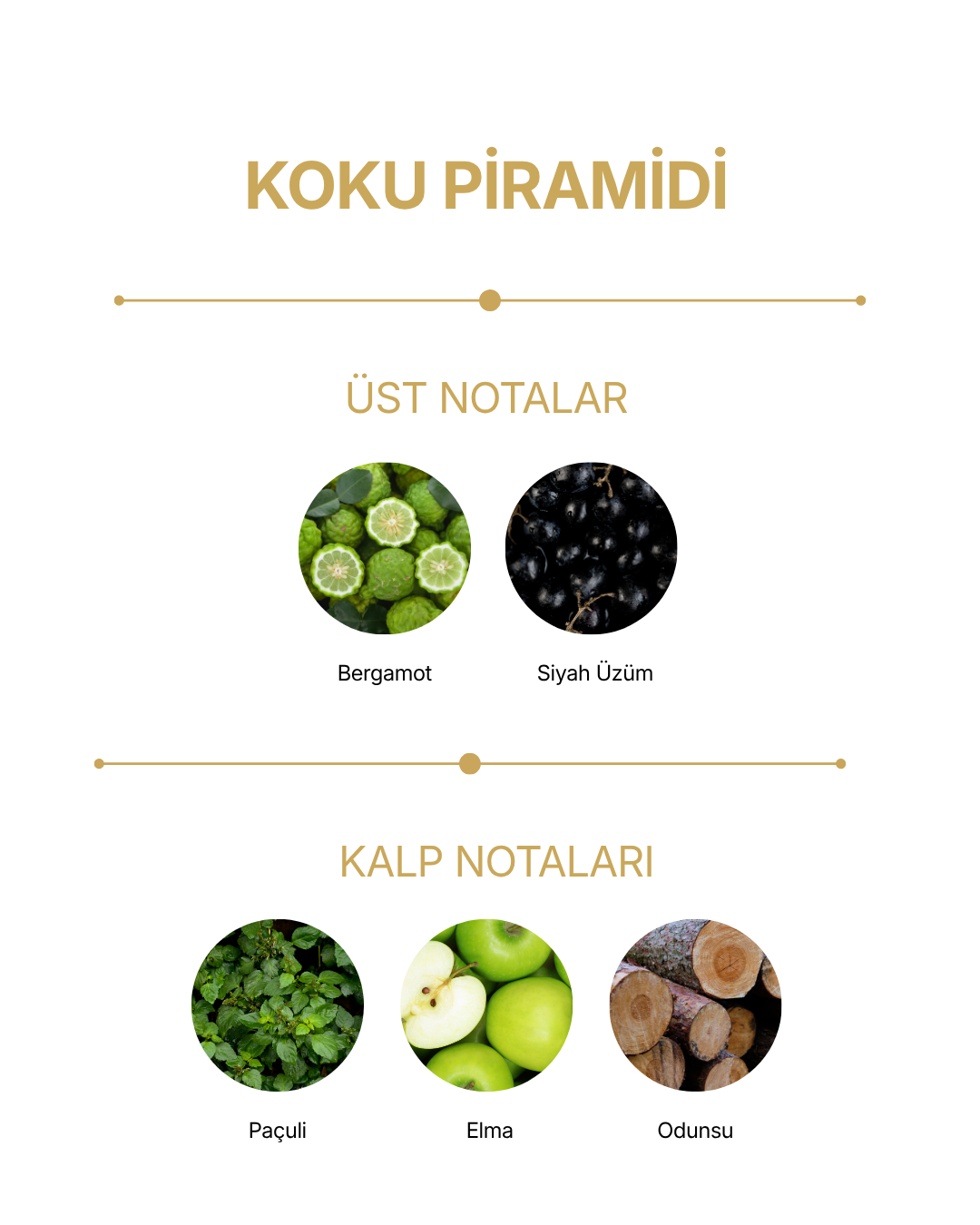 Eau de Parfum Impact — görsel 2