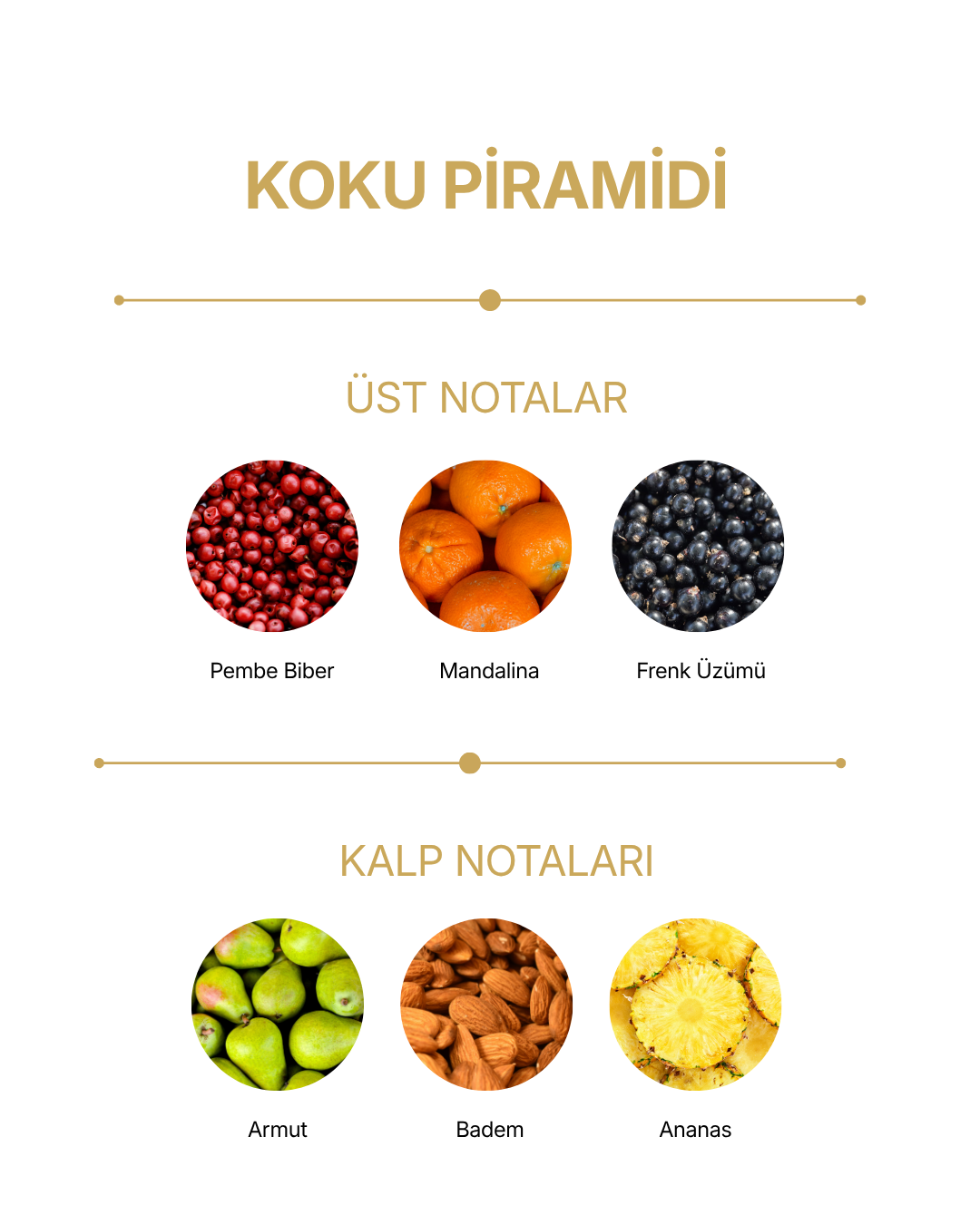 Eau de Parfum Pio — görsel 2