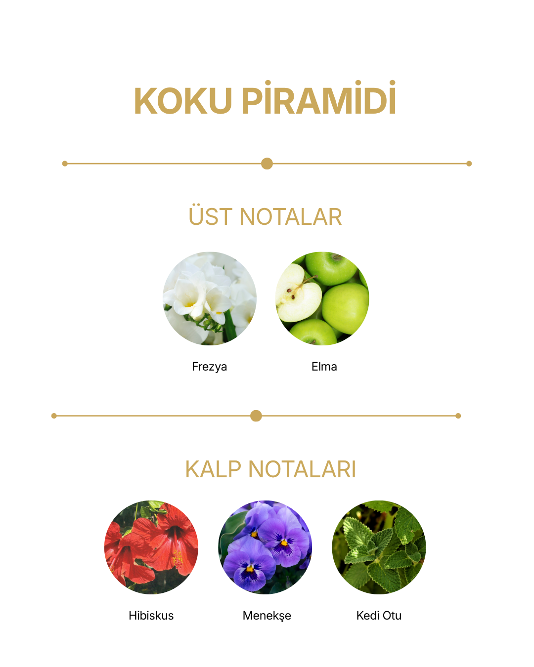 Eau de Parfum Remember — görsel 2