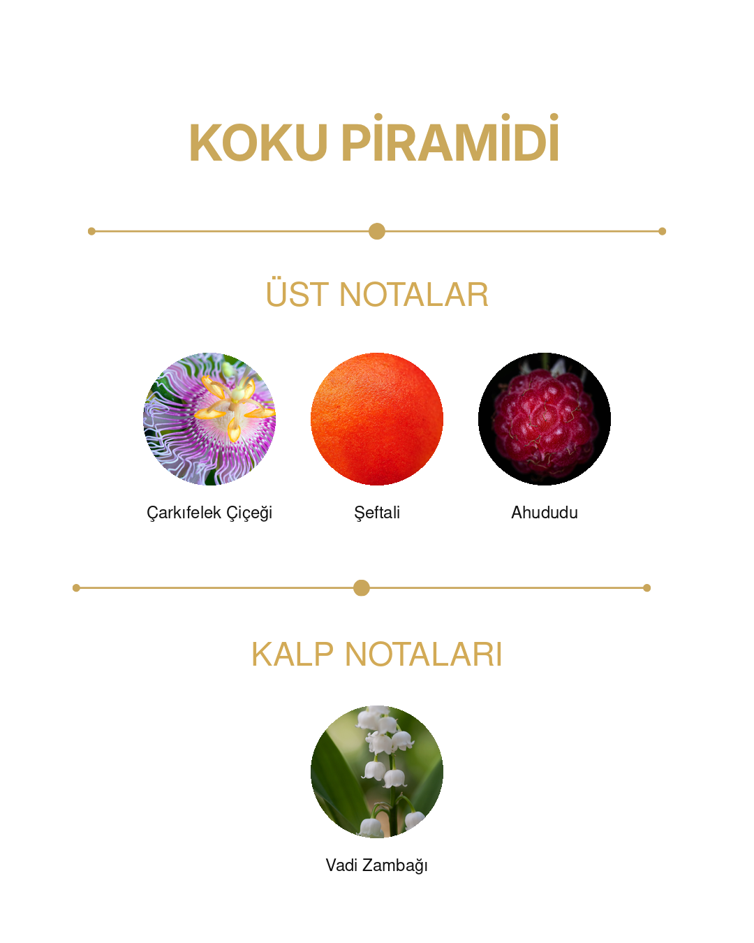 Boutique Collection Volare — görsel 2