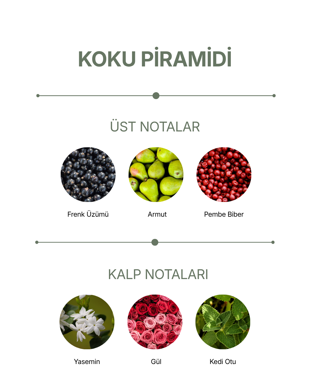 FRAIS İpli Dolap Kokusu Çubuğu Sandal Ağacı & Gül · 3 x 40 gr — görsel 3