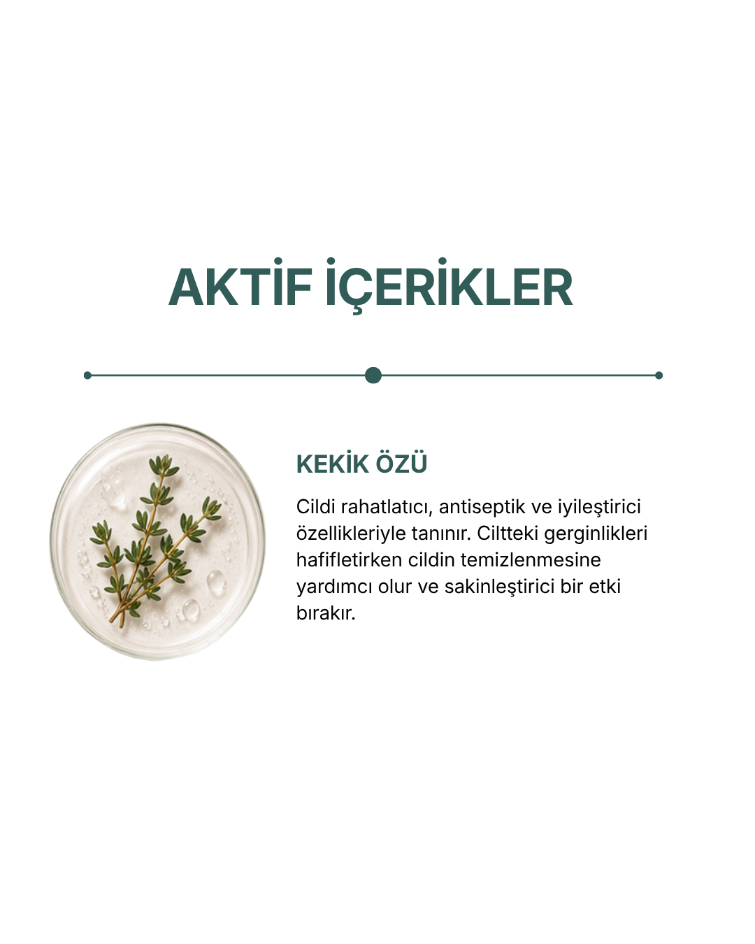 İpli Sabun Kekik — görsel 3