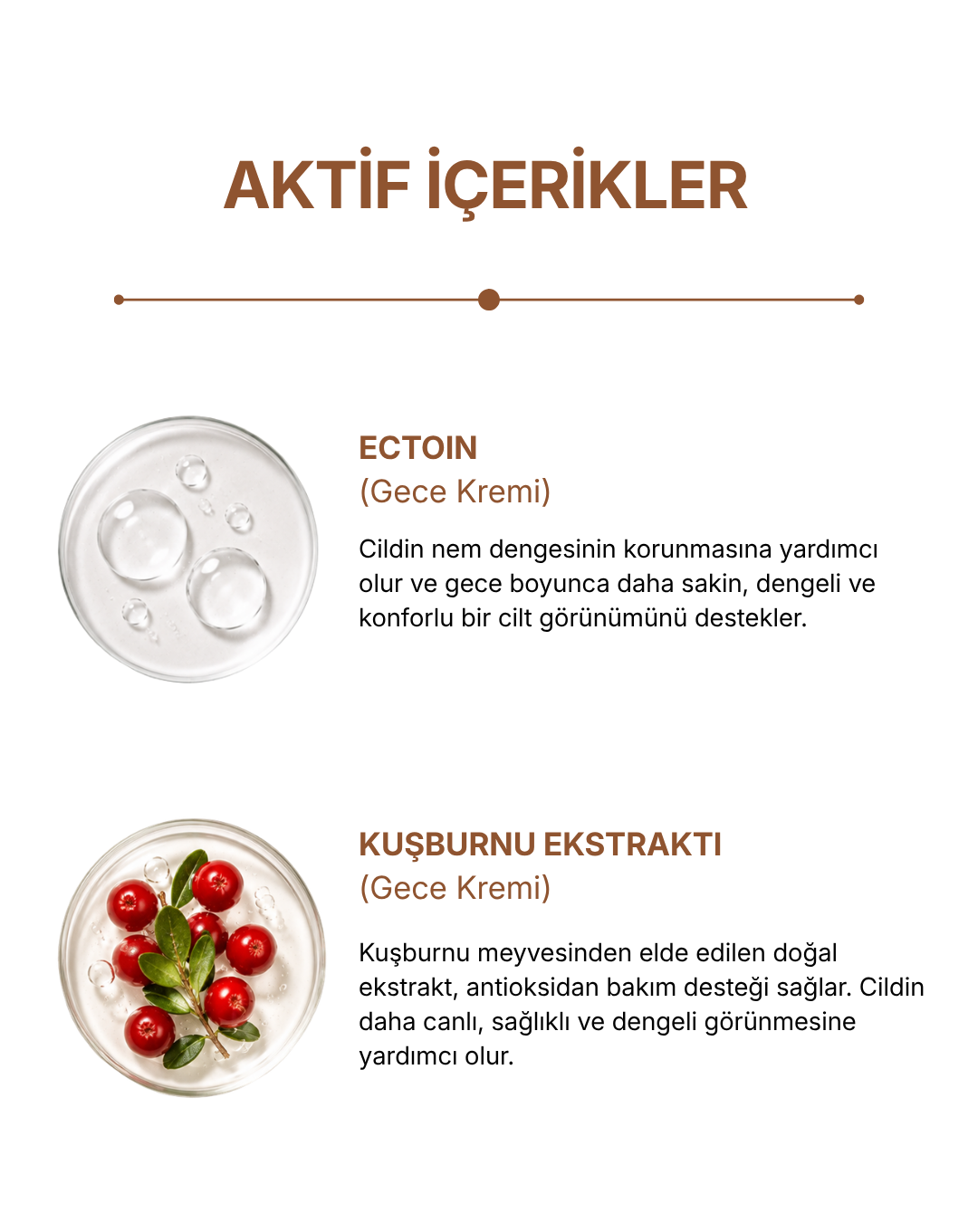 Solar & Lunar Gece-Gündüz Krem Seti — görsel 9