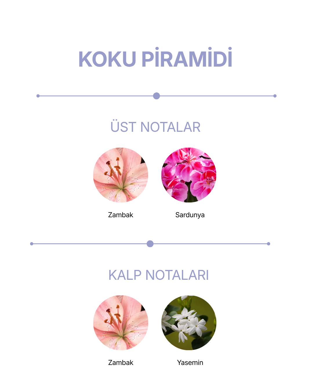 VIOLÀ Oda Spreyi Müge Çiçeği & Sardunya · 400 ml — görsel 2
